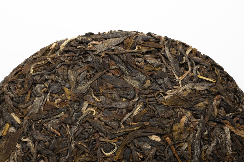Pu Er Sheng 2023 Yongde Da Shan Old Trees