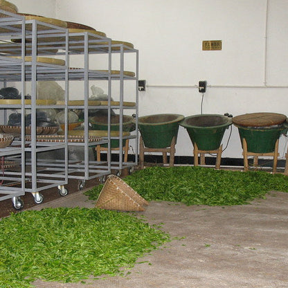 Long Jing Zhejiang