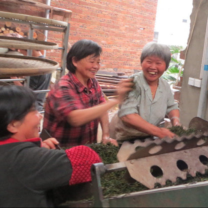 Qi Lan Wuyi