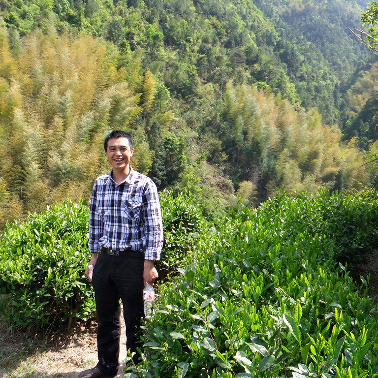Long Jing Zhejiang