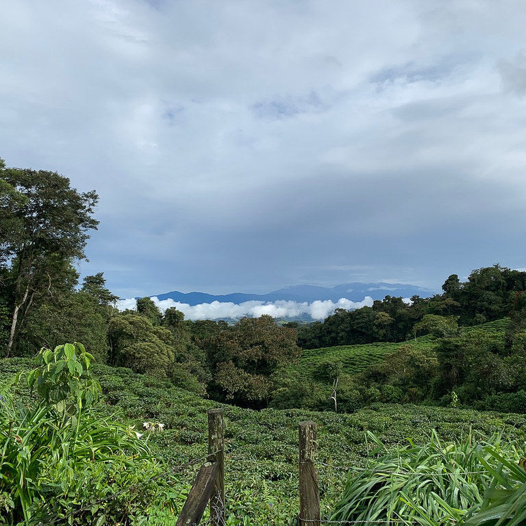 La Cumbre Bitaco Organic