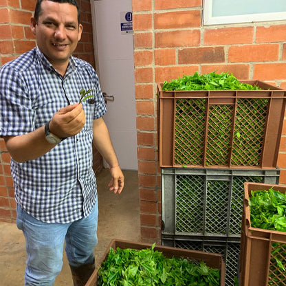 La Cumbre Bitaco Organic