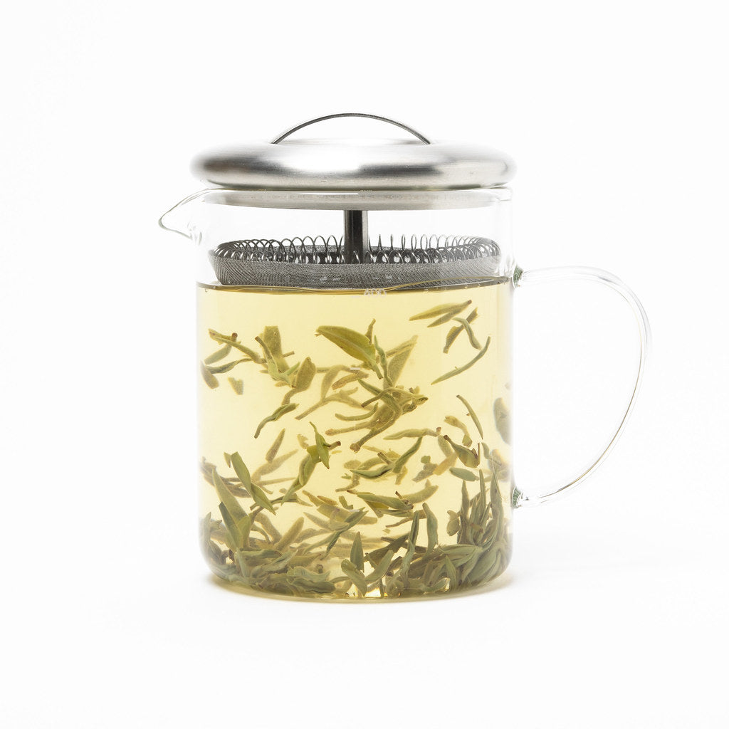 Camellia Sinensis - Glass Infusion Beaker