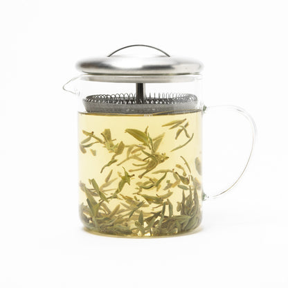 Camellia Sinensis - Glass Infusion Beaker