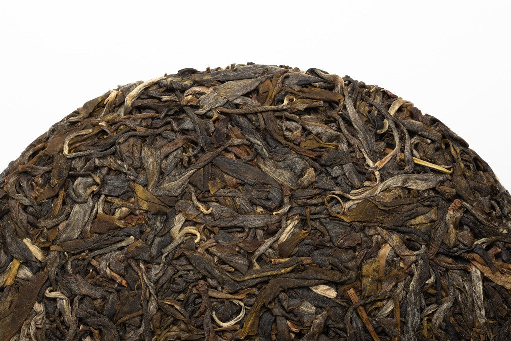Pu Er Sheng 2023 Yongde Da Shan Old Trees
