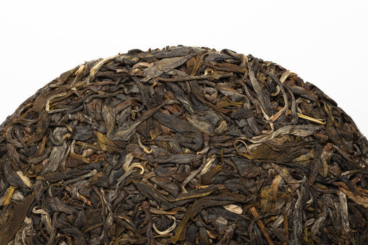 Pu Er Sheng 2023 Yongde Da Shan Old Trees