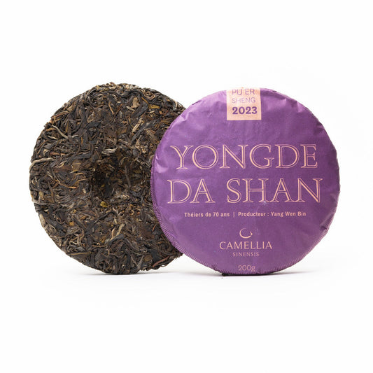 Pu Er Sheng 2023 Yongde Da Shan Old Trees