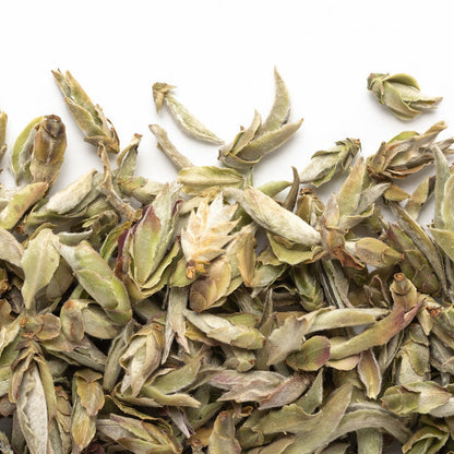 Nan Mei Wild Tree Buds