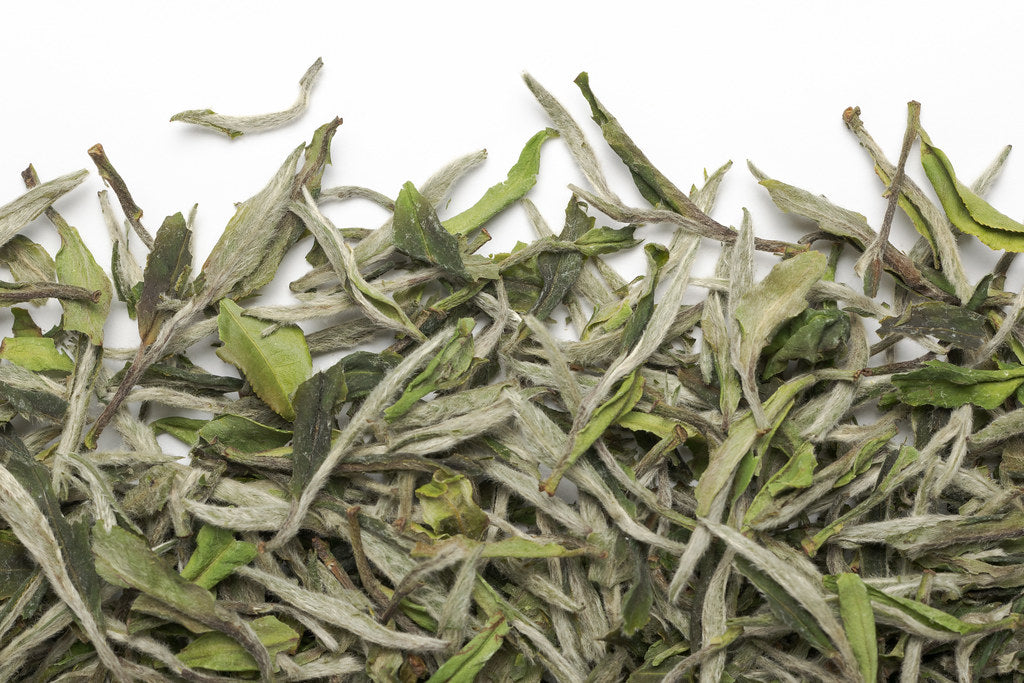 Bai Mu Dan Wang imperial white tea
