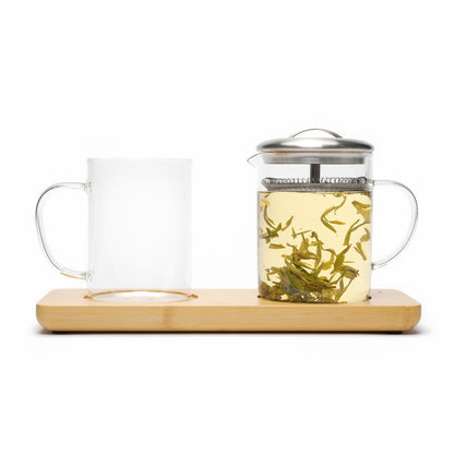 Camellia Sinensis - Infusion Beaker Set