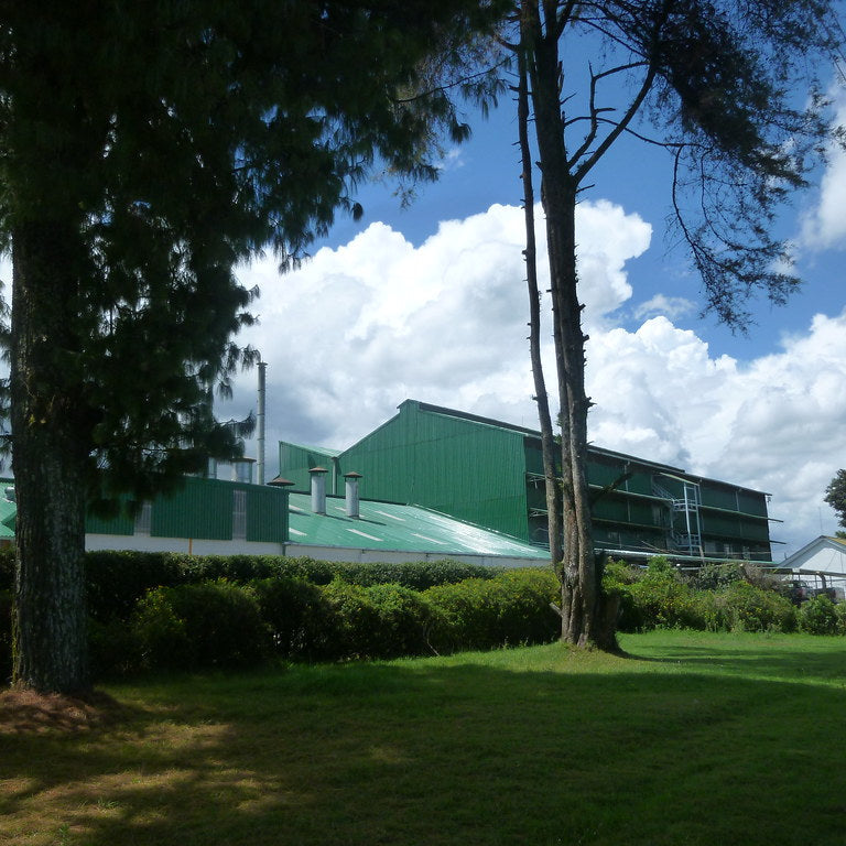 Kenya Kangaita