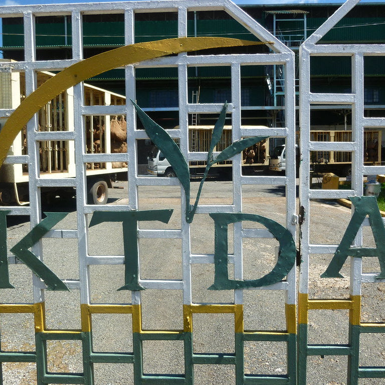 Kenya Kangaita