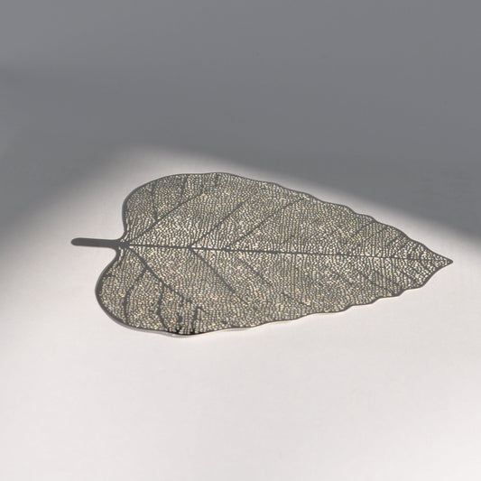 Stainless Steel Fine Mesh Leaf Tea Strainer