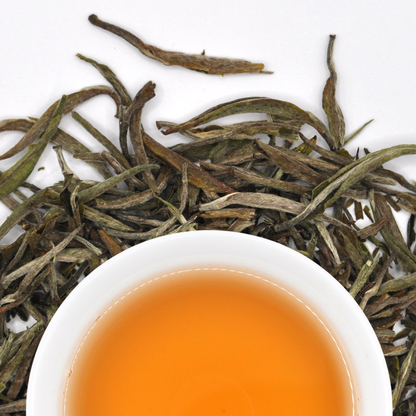 Nilgiri Yin Zhen