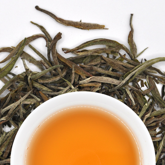 Nilgiri Yin Zhen