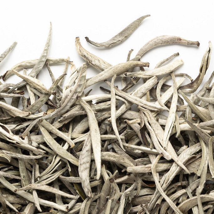 Silver Needle