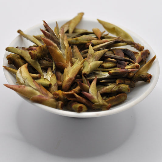 Nan Mei Wild Tree Buds